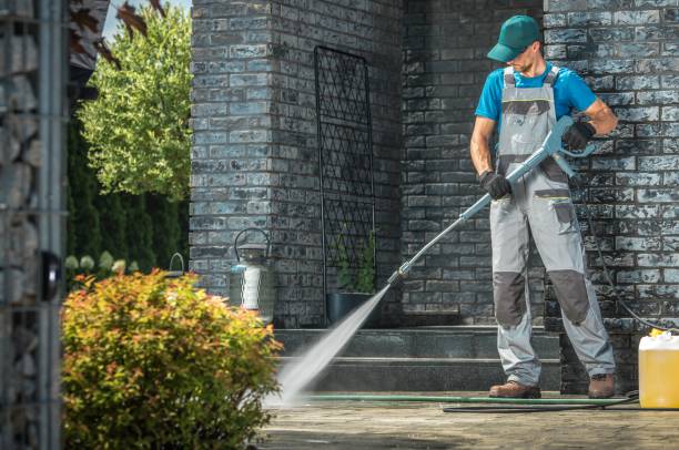 Best Solar Panel Cleaning  in Pasadena Hills, MO